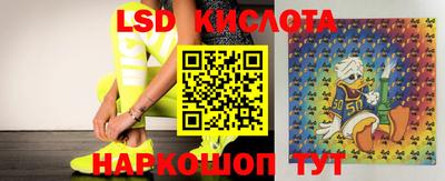 Альфа ПВП Ставрополь