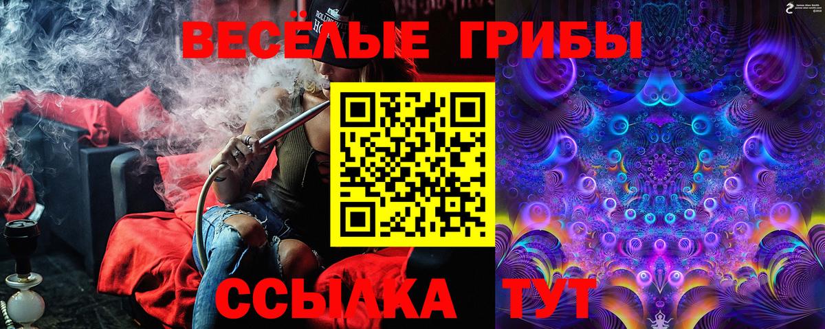 наркошоп  Псилоцибиновые грибы Magic Shrooms  Вход с VPN  Братск 