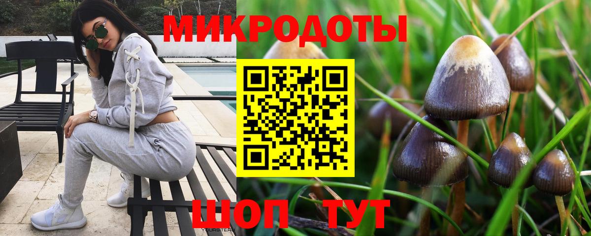 Псилоцибиновые грибы Psilocybine cubensis Братск